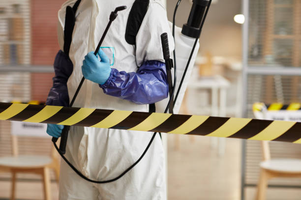 Professional Biohazard Cleanup technician working in Lewiston, CA